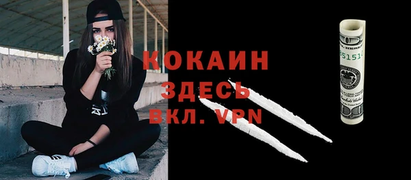 спиды Богородицк