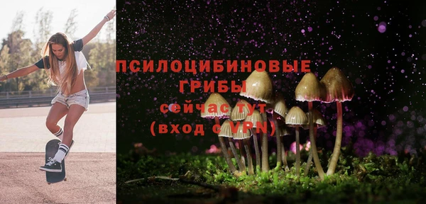 спиды Богородицк