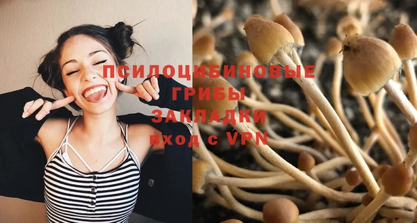 спиды Богородицк