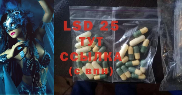 спиды Богородицк